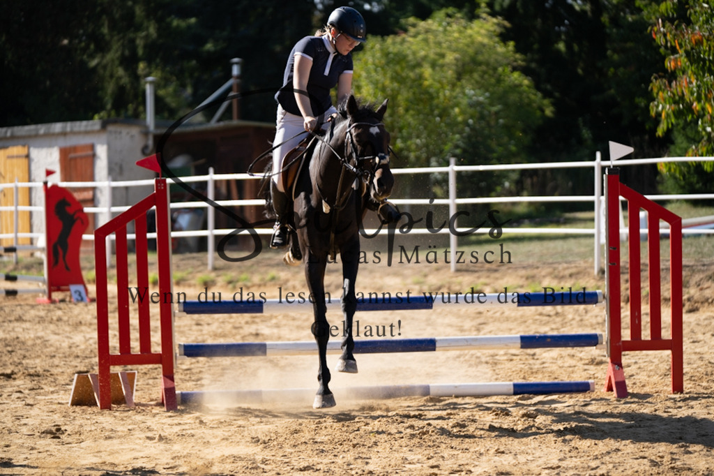 A7V02581 | Pferdefotograf