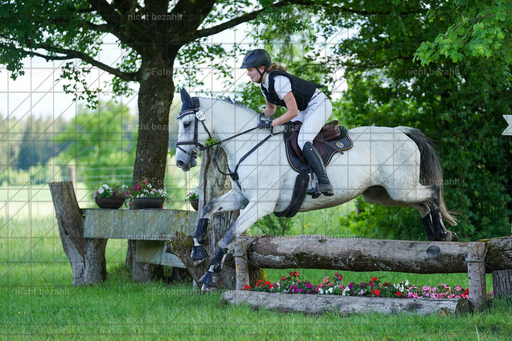 20240518-FAH04160 | Turnierbilder von Niederseon, Turnierfotografen Bayern, Fotoagentur Herrmann, Geländebilder, Reitsportfotografie