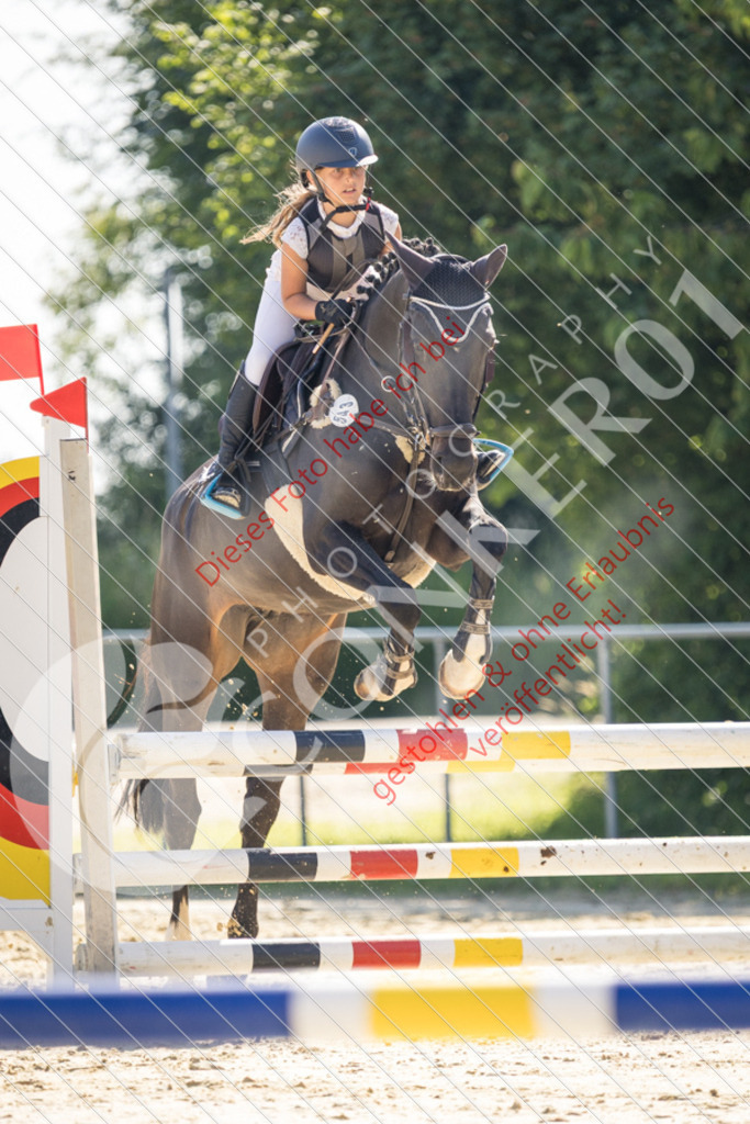 IMG_3006 | Sport-, Event- und Tierfotos in Profiqualität. Einfach auswählen, bestellen und herunterladen. Dein Moment – perfekt festgehalten.