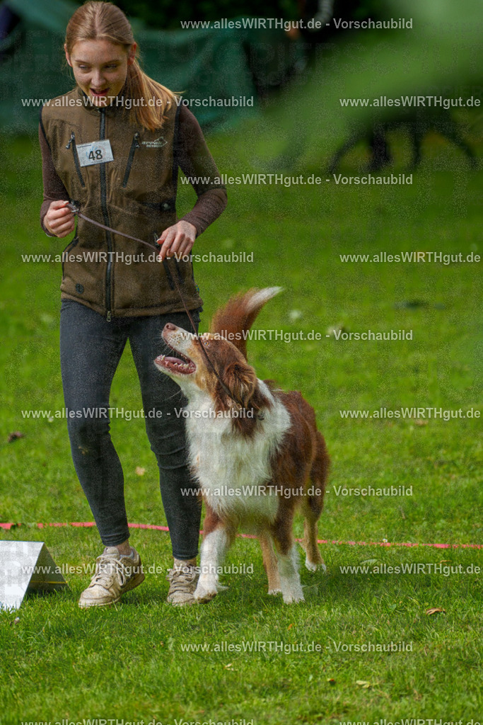 @allesWIRTHgut_Tierfotografie - www.allesWIRTHgut.de - 7R500497 | Professionelle Tierfotografie in Mönchengladbach von Daniel Wirth (allesWIRTHgut). Liebevolle & natürliche Bilder von Hunden & Katzen für unvergessliche Erinnerungen.