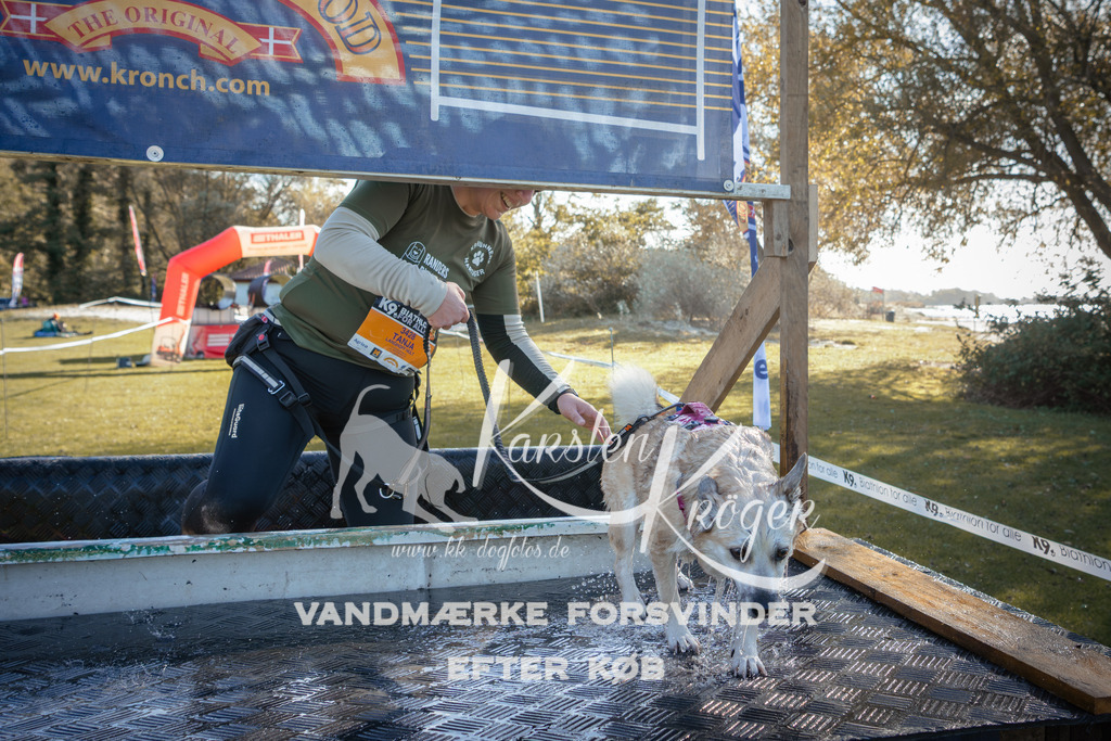 1212_ZZ95098 | kk-dogfotos