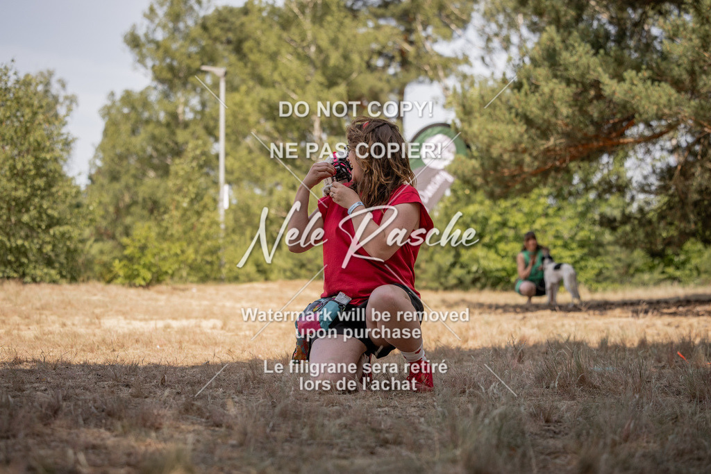nelerasche_soDD2_403 | nelerasche