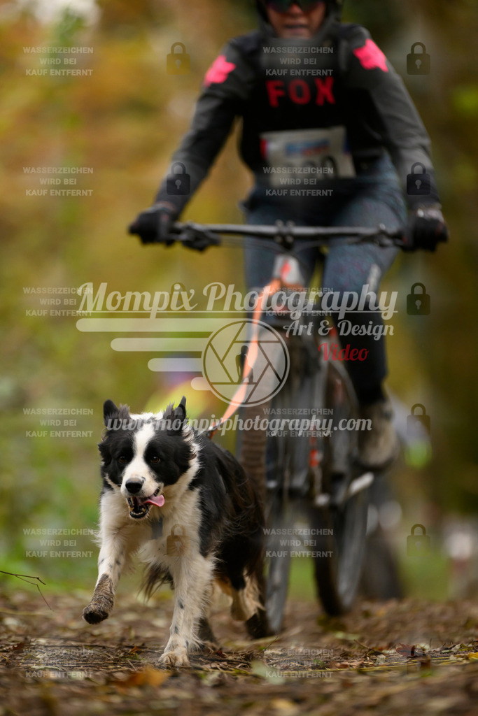 MompixPhotography_Bischwiller24_SA_VTT-45 | PayLife