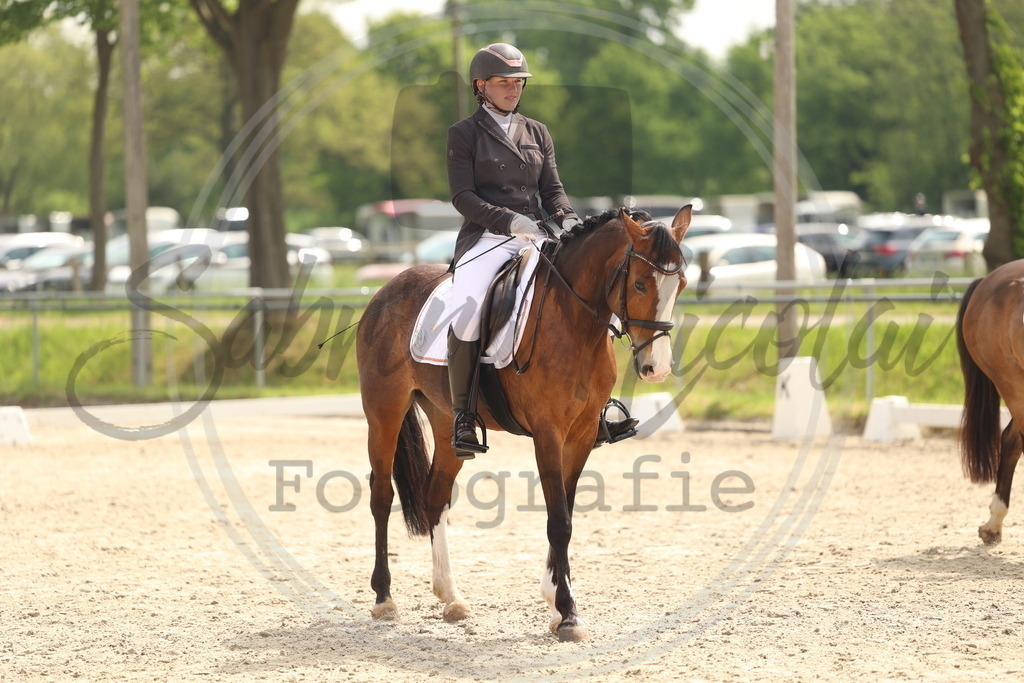 994A6870 | sabrinanicolaifotografie - Realisiert mit Pictrs.com