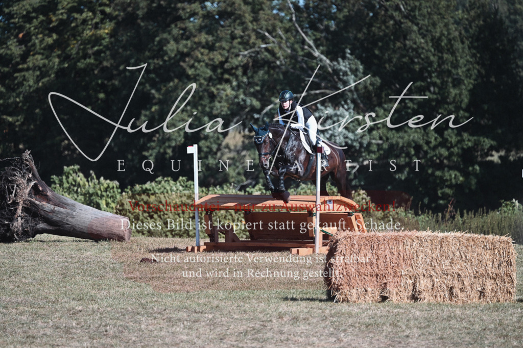 DSC_8657 | Pferde- und Turnierfotografie in Westsachsen. Pferdeportraits, Auftragszeichnungen und intuitive Kunst.