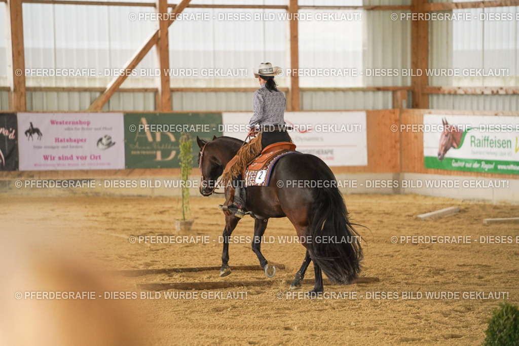 DSC04149 | Pferdegrafie