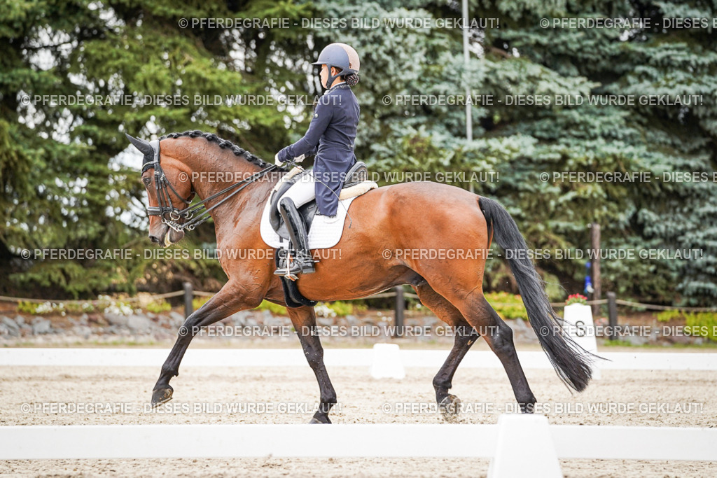 DSC05385 | Pferdegrafie