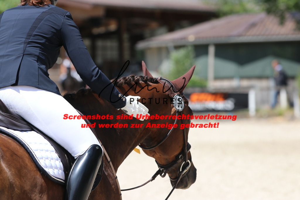 IMG_5001 | lmwpictures - Realisiert mit Pictrs.com