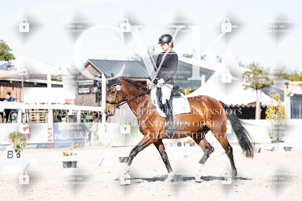 CK907956 | Turnierfotografie Pferdefotografie Trier Rheinland-Pfalz Pferdesport Reitsport Tierfotografie Sportfotografie Pferdevideo Pferdevideografie Equestrianvideography equestrianphotography  - Realisiert mit Pictrs.com