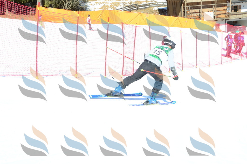 C6793 | holidayphoto