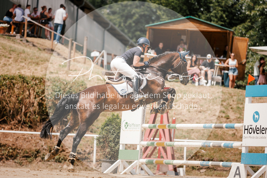 3I6A7780 | Stimmungsvolle Portraits und Reitsportfotografie im Ruhrgebiet und im Münsterland.

Pferdefotografie, Hundefotografie, Tierfotografie, Reportagen, Portraits von Tier und Mensch, Turnierfotografie in Bochum, Recklinghausen, Marl, Haltern am See, Dülmen.. - Realisiert mit Pictrs.com