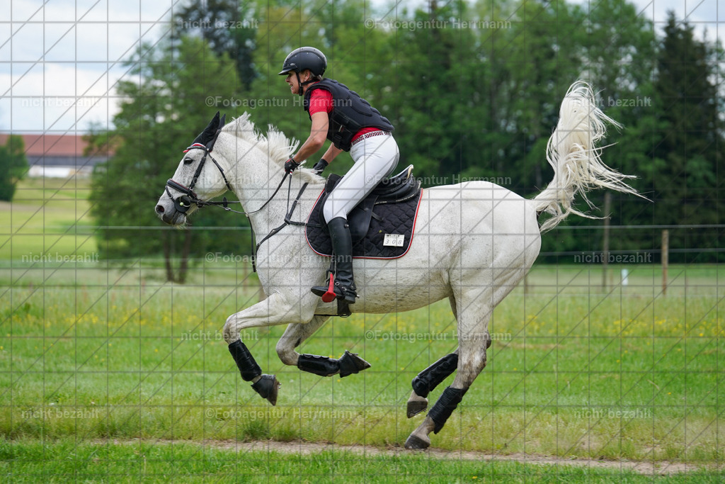 20240518-FAH03905 | Turnierbilder von Niederseon, Turnierfotografen Bayern, Fotoagentur Herrmann, Geländebilder, Reitsportfotografie