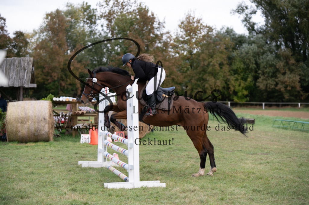 A7V06450 | Pferdefotograf