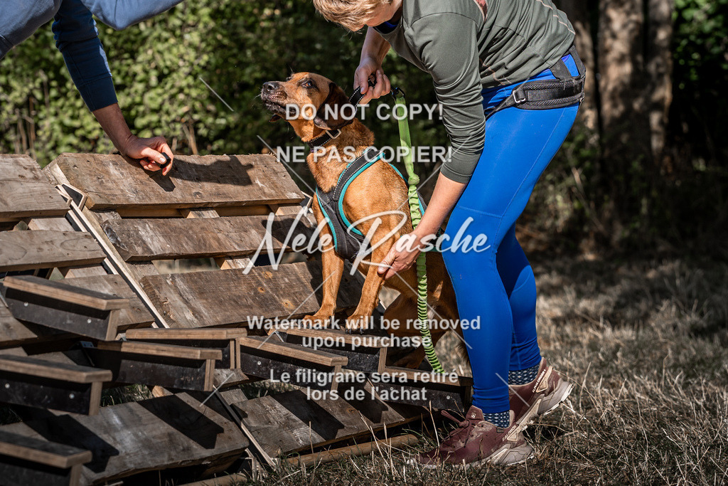 nelerasche_slaw24So_184 | nelerasche