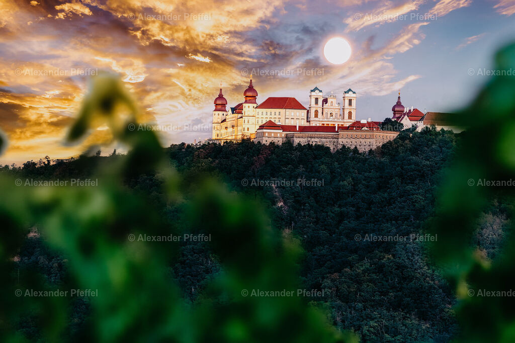 foto_c_pfeffel-partner-0043-R51_5195-HDR-Bearbeitet | alexander-pfeffel - Realisiert mit Pictrs.com