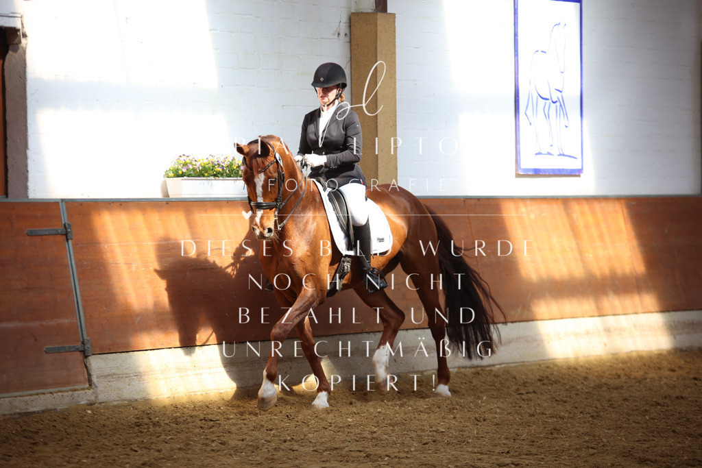 IMGT8489 | pl-fotografie