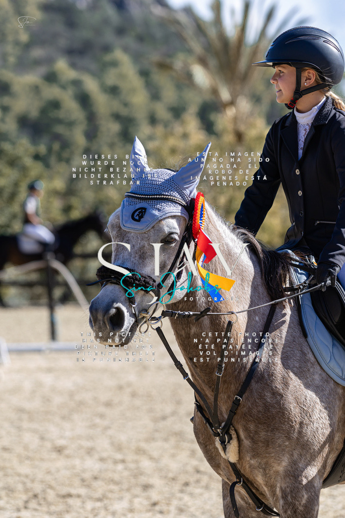 IMG_0133 | s-jay-photography - Realisiert mit Pictrs.com