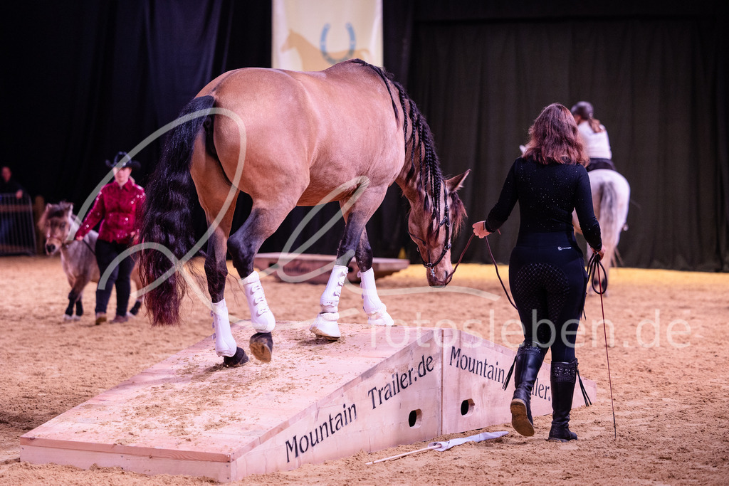 846A6911 | fotosleben - Realisiert mit Pictrs.com