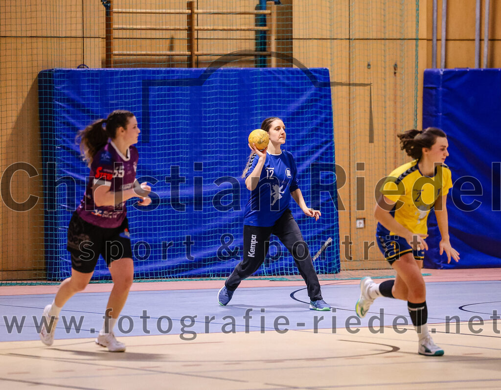 2025-02-15_098_SpVgg_Altenerding_gegen_MTV_Pfaffenhofen | Erding, Deutschland, 15.02.2025:Handball, Bezirksoberliga Frauen Altbayern 2024 / 2024, 14. Spieltag, SpVgg Altenerding gegen MTV Pfaffenhofen, Endergebnis: 27:23Verena Kaiser (SpVgg Altenerding, #55), Torfrau Annika Riehm (MTV Pfaffenhofen, #12), Magdalena Scherer (MTV Pfaffenhofen, #2)Foto: Christian Riedel / fotografie-riedel.net