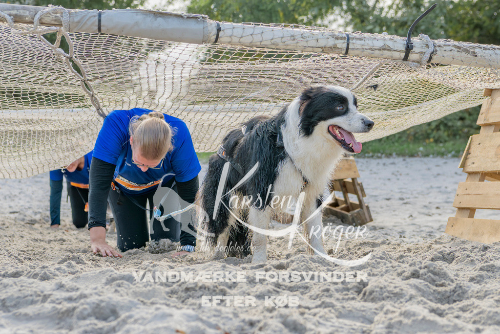 1246_ZZ93278 | kk-dogfotos