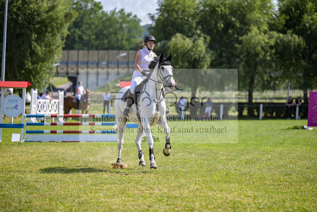 Reitturnier Voxtrup | Entdecke hochwertige Reitturnierfotos von Foto Oger. Professionell, emotional und authentisch – jetzt Lieblingsmomente im Shop bestellen.Deutschlandweite Turnierfotografie. - Realized with Pictrs.com