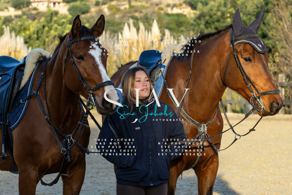 IMG_2341 | s-jay-photography - Realisiert mit Pictrs.com