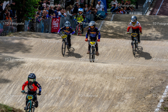 BayBMX2026-05857 | Fotogalerie von Thomas Dettweiler mit Eventbildern und lizenzfreien Fotos. Perfekt als Wandbild, für Büro, Website oder private Nutzung. - Realisiert mit Pictrs.com