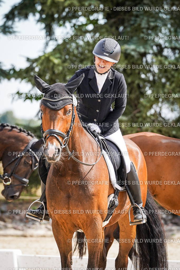 DSC02193 | Pferdegrafie