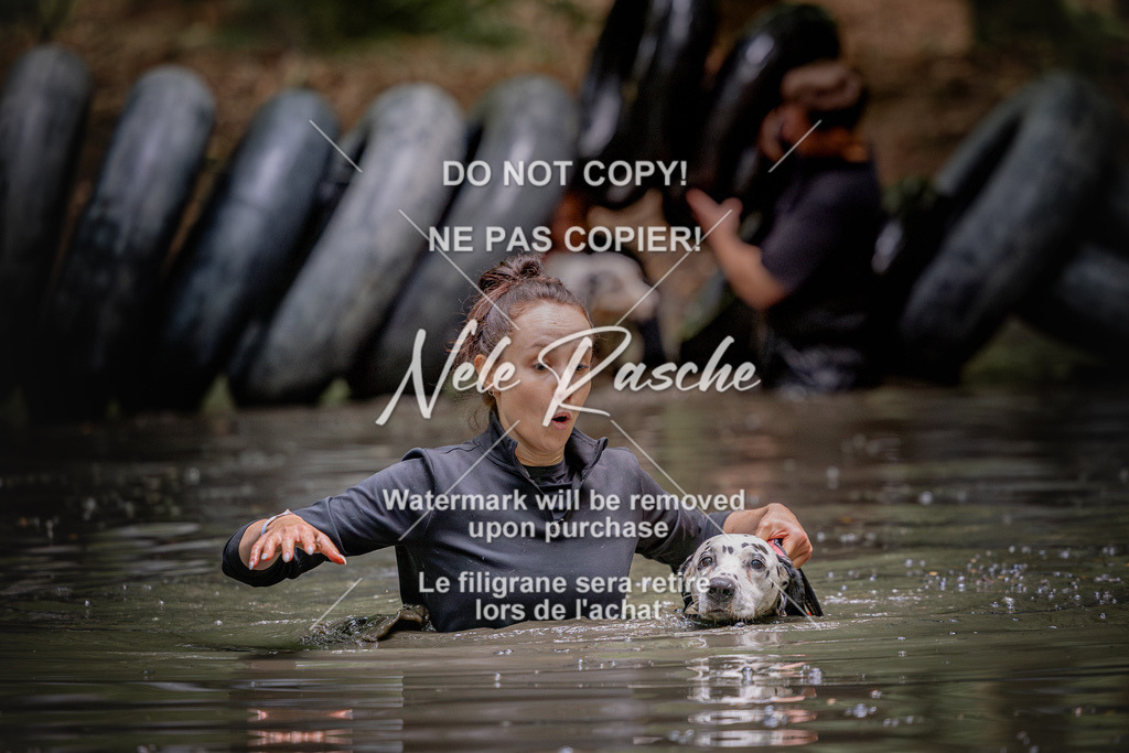 nelerasche_SaWingst1530-1600_52 | nelerasche