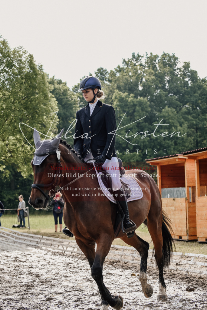 DSC_9016 | Pferde- und Turnierfotografie in Westsachsen. Pferdeportraits, Auftragszeichnungen und intuitive Kunst.