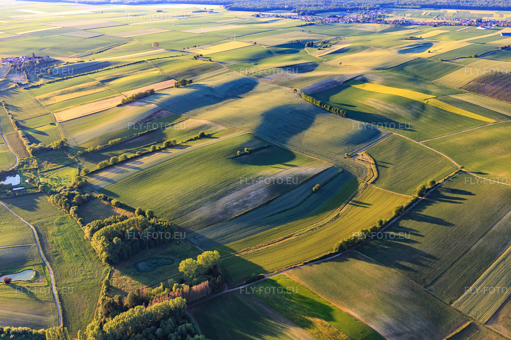 Vue aérienne: Paysage de champs et de prairies à Muehlbach à Seebach dans le département Bas Rhin, France – .Photo: IMG_115539.jpg prise le 16/06/2019 par Werner Riehm/FLY-FOTO.eu – Résolution de l'original: 5472 x 3648 px