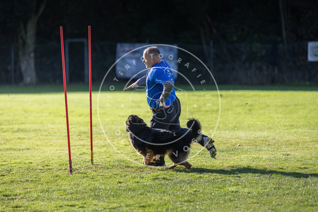Pfotenfotografie.de_DV3A3326 | Hundefotografie, Tierfotograf, Pfotenfotografie, Fotoshooting Hund, Hunde Portrait, Hundesport, Hundeportraits, Heideshooting, Hunde, Sportfotograf, Hundefotograf, Turnierhundsport, THS, canicross - Realisiert mit Pictrs.com