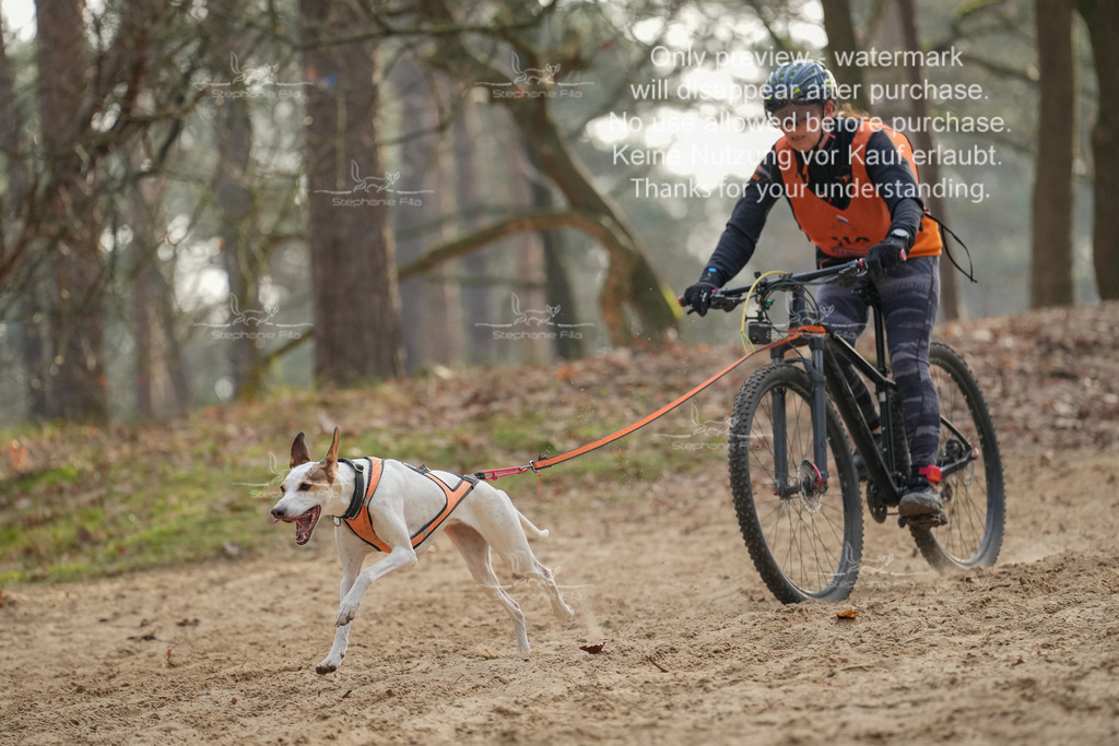 Bike1-300 | stephaniefillaphotographie - Realisiert mit Pictrs.com