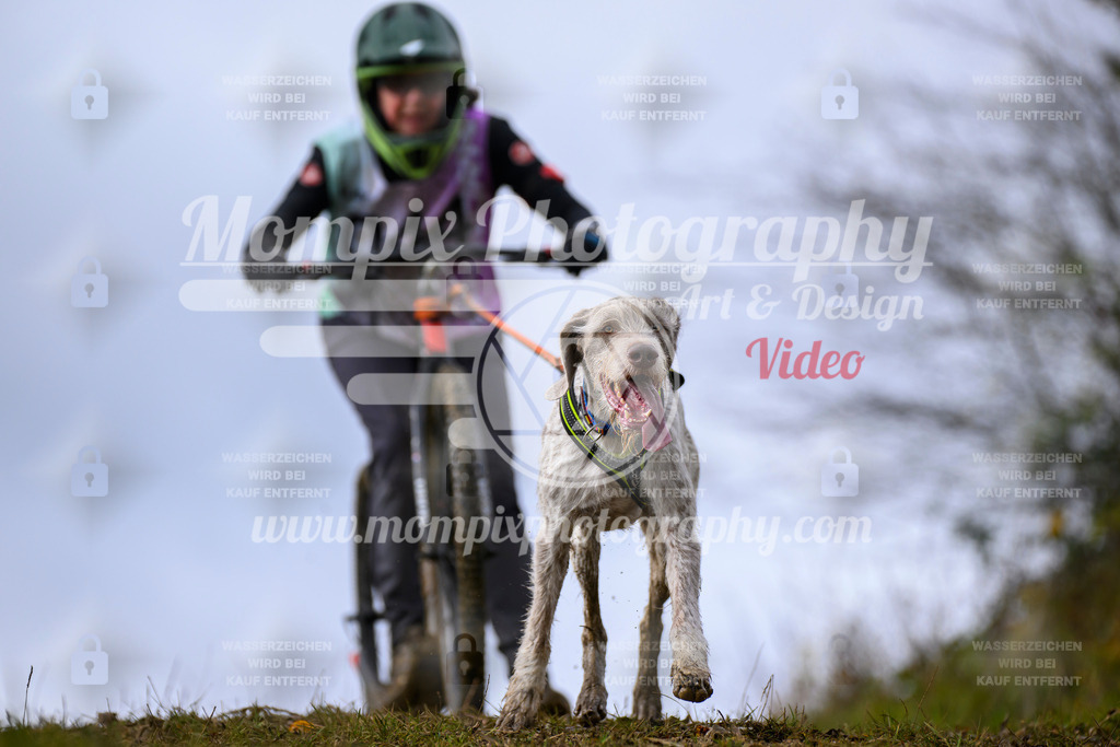 MompixPhotography_2OATB_SO_Scooter-47 | PayLife