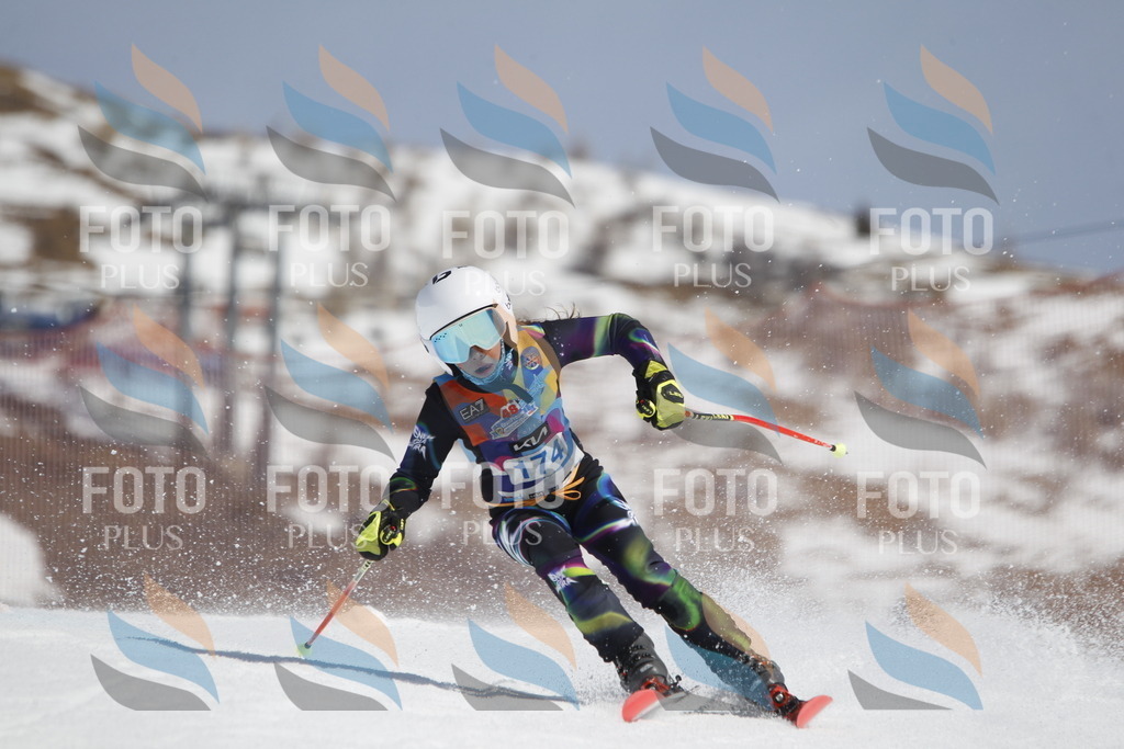 _U3G1615 | holidayphoto