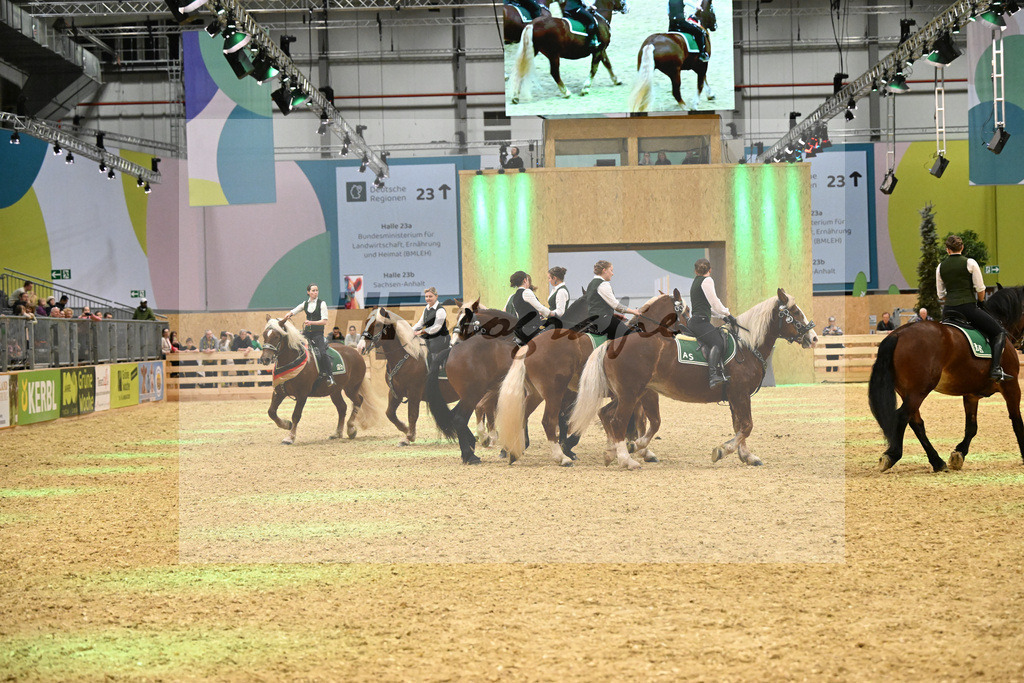 Schauprogramm_Dressurquadrille_1261093 | hf-fotografie - Realisiert mit Pictrs.com