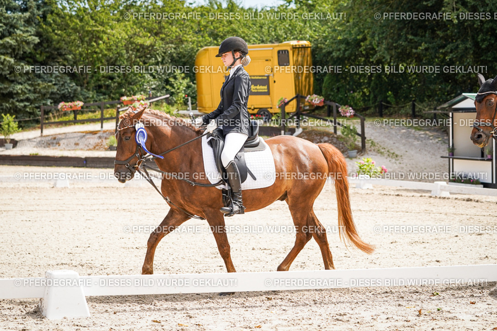 DSC02682 | Pferdegrafie