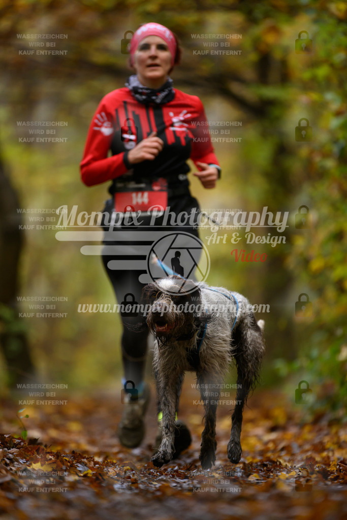 MompixPhotography_CD7S_DI_CCL-144 | mompixphotography