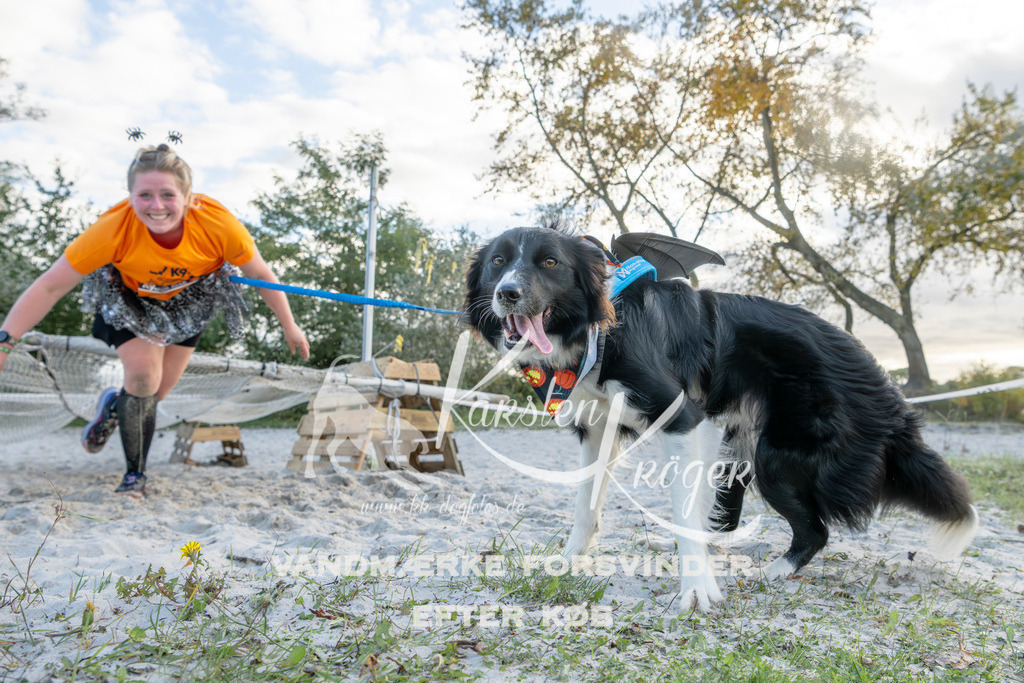 1620_ZZ97090 | kk-dogfotos