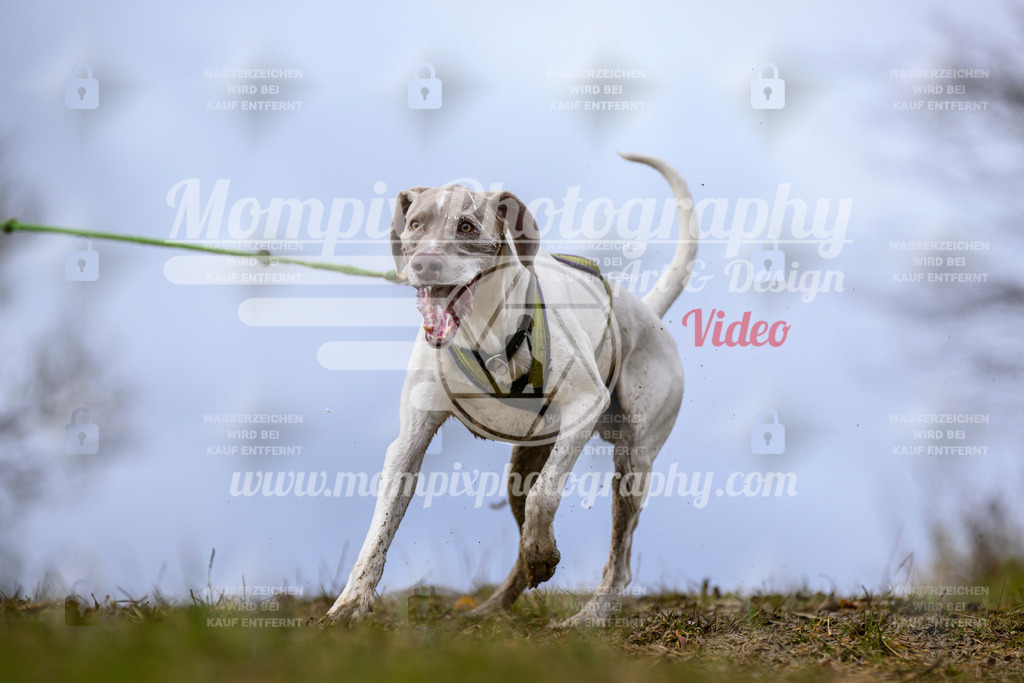 MompixPhotography_2OATB_SO_Run-10 | PayLife