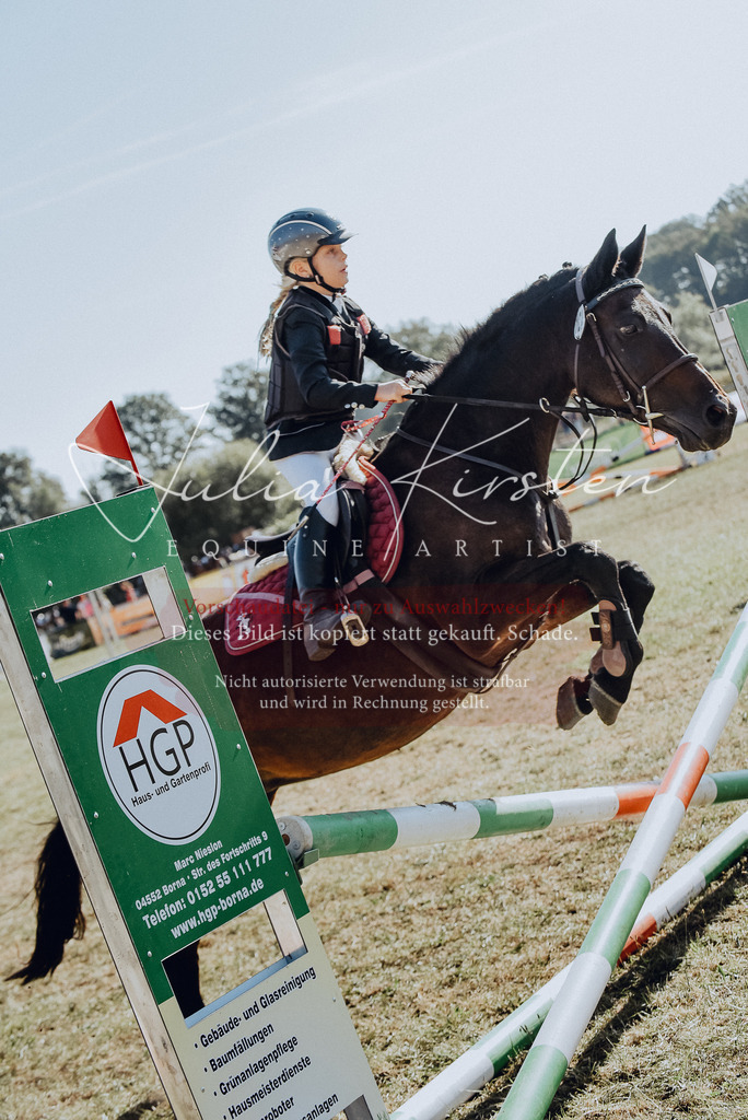 DSC_5848 | Pferde- und Turnierfotografie in Westsachsen. Pferdeportraits, Auftragszeichnungen und intuitive Kunst.