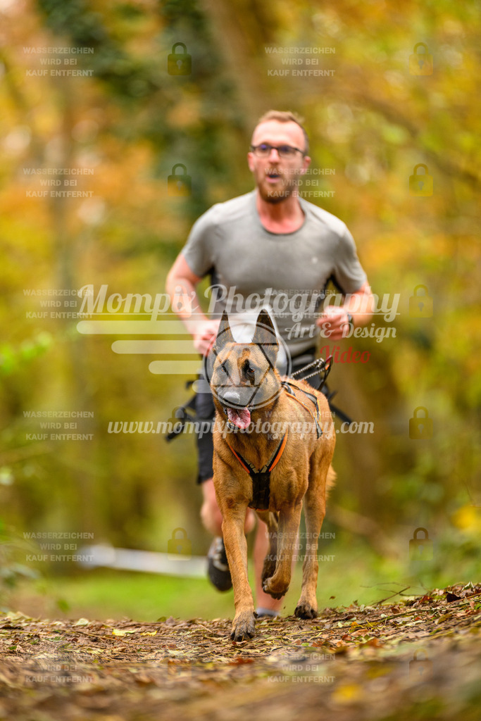 MompixPhotography_Bischwiller24_SA_Canicross-158 | PayLife