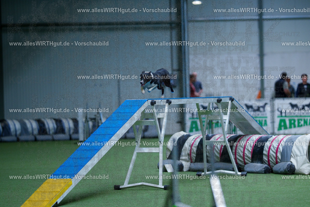 @allesWIRTHgut_Tierfotografie - www.allesWIRTHgut.de - 2604261135-7R509876 | Professionelle Tierfotografie in Mönchengladbach von Daniel Wirth (allesWIRTHgut). Liebevolle & natürliche Bilder von Hunden & Katzen für unvergessliche Erinnerungen.