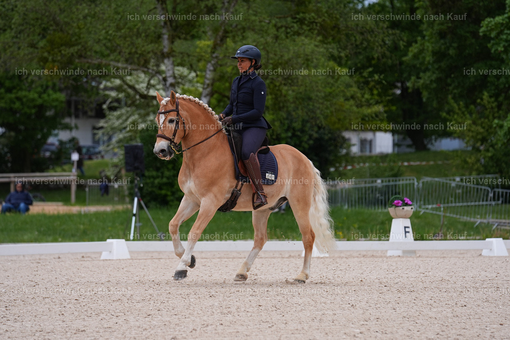 PI26_DR_241_Stoibphotography_SIN05941.jpg | working equitationturnier fotograf videograf stoibphotography marixx film working equitation deutschland reitsport turnierfotografie eventfotografie equestrian events