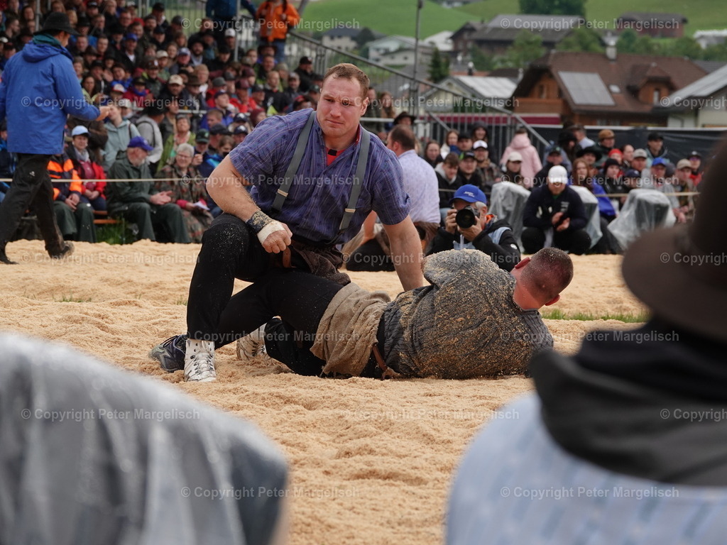 DSC07590 | Schwingen - Realisiert mit Pictrs.com