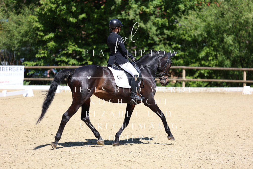 IMGS1971 | pl-fotografie