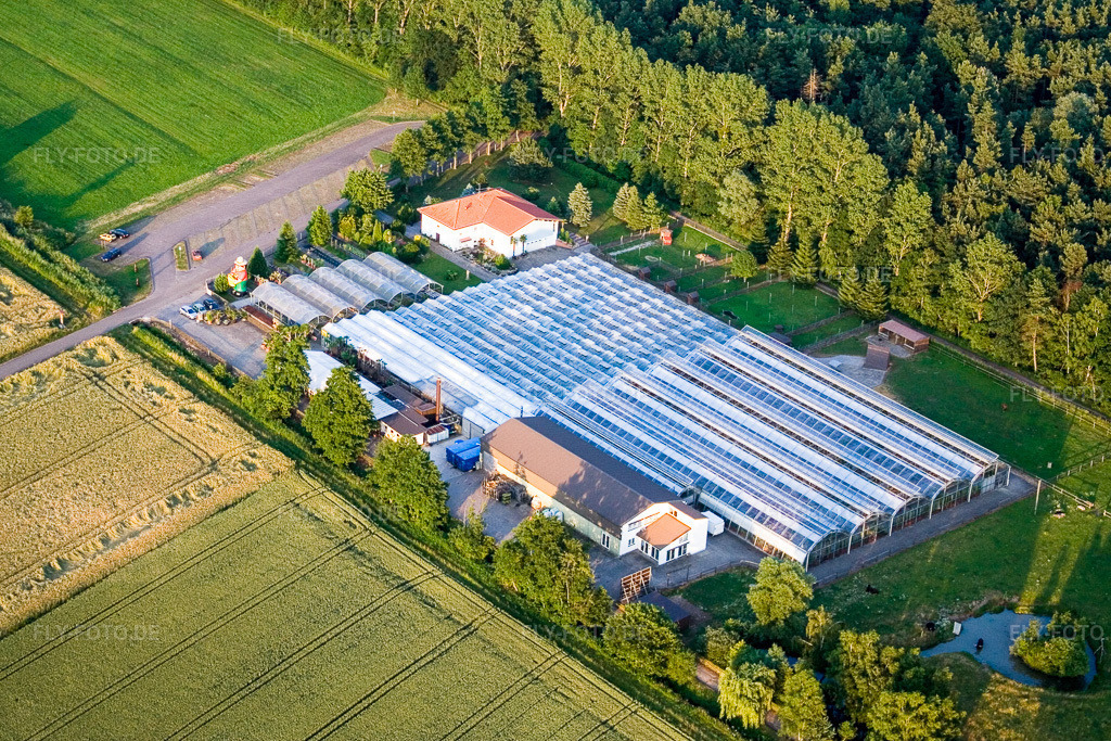 Luftbild: Kakteenland in Steinfeld im Bundesland Rheinland-Pfalz in Deutschland. Foto: IMG_3154.jpg vom 30.06.2006 durch Werner Riehm/FLY-FOTO.de
