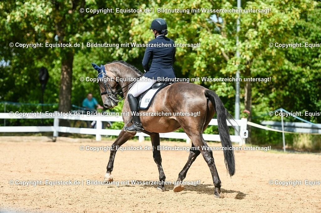 20230716_01_Dressurprüfung Kl.M_0287 | equistock