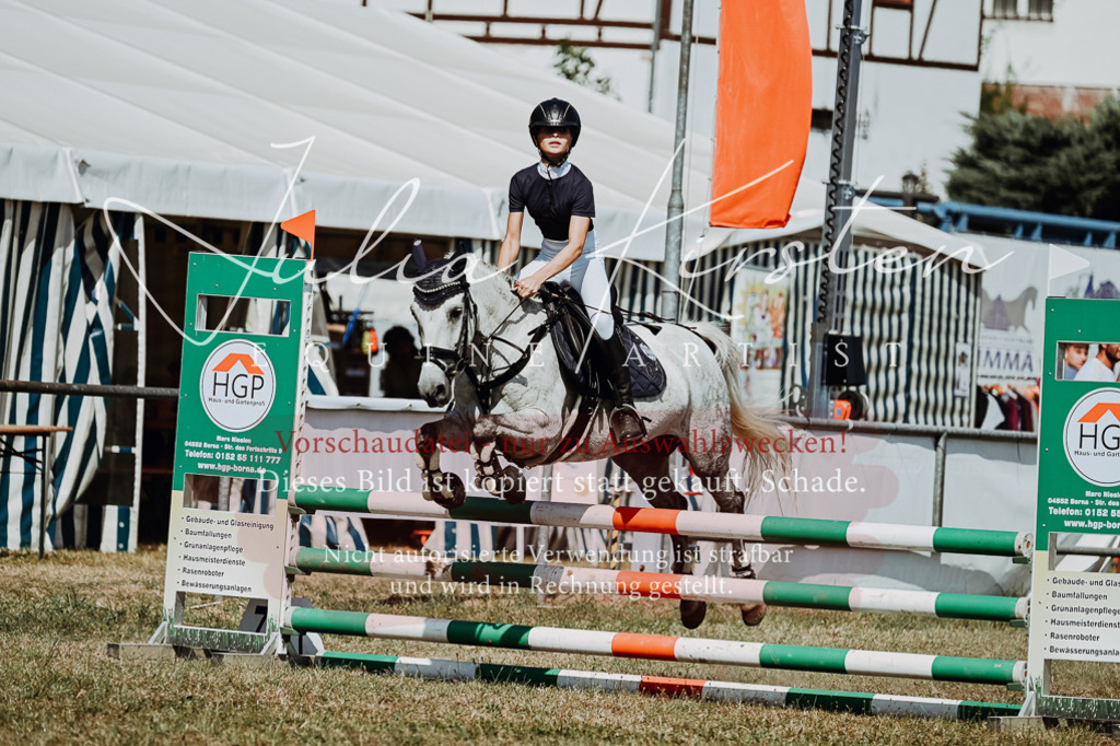 DSC_0036 | Pferde- und Turnierfotografie in Westsachsen. Pferdeportraits, Auftragszeichnungen und intuitive Kunst.