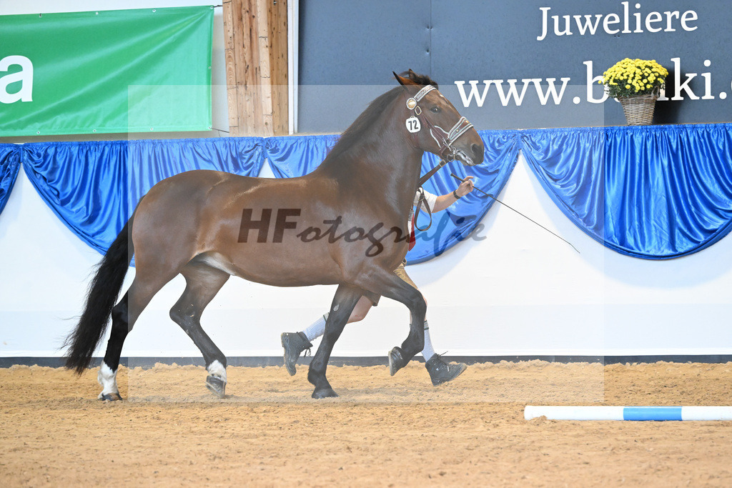 Kat-Nr. 72 Pipa II_Kriechbaumer_53220312 | hf-fotografie - Realisiert mit Pictrs.com